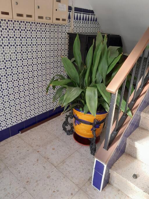 Disfruta De Un Barrio Tranquilo Apartment Alcala de Guadaira Bagian luar foto